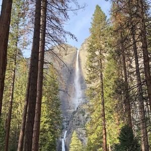 Meet your Posher, Greg